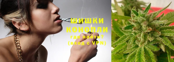 СК Козловка