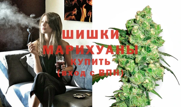 a pvp Коряжма