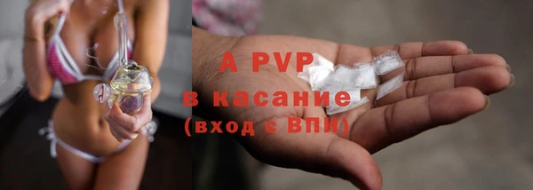дживик Костерёво