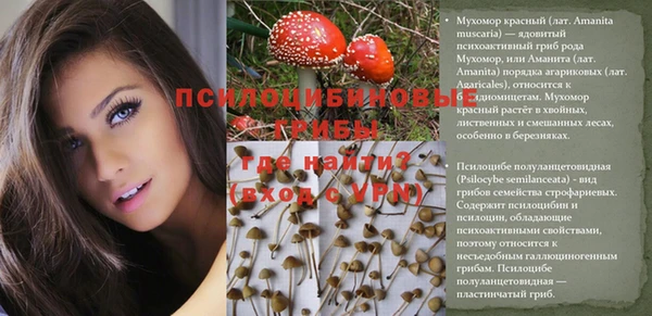 дживик Костерёво
