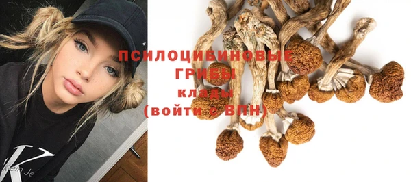 твердый Кодинск