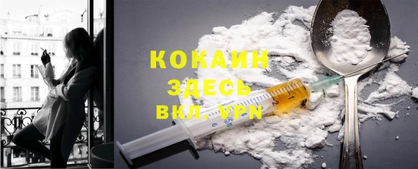 твердый Кодинск